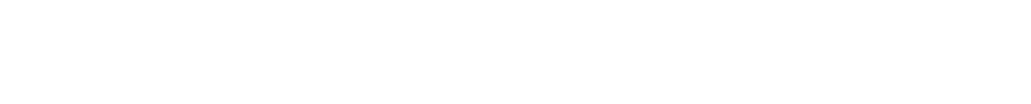 Fleetmaster logo